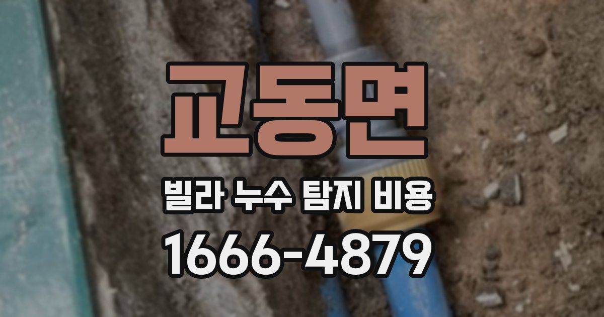교동면 빌라 누수 탐지 비용