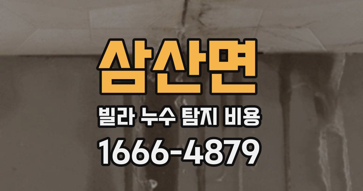 삼산면 빌라 누수 탐지 비용