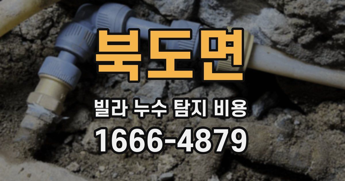 북도면 빌라 누수 탐지 비용