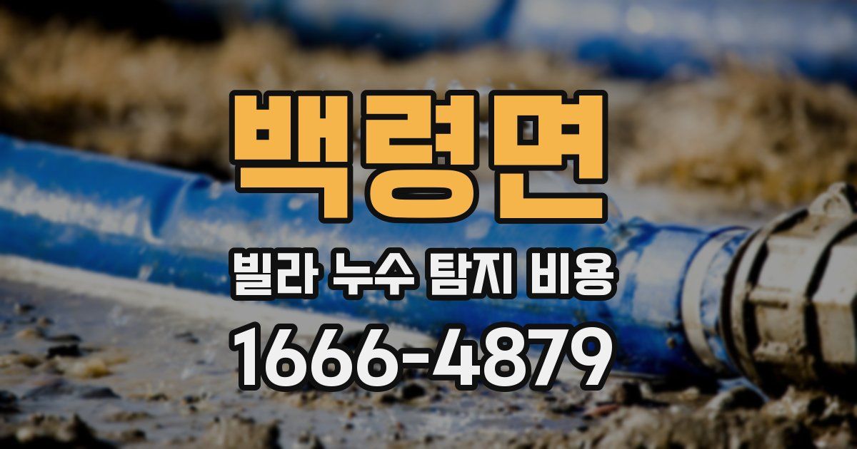 백령면 빌라 누수 탐지 비용
