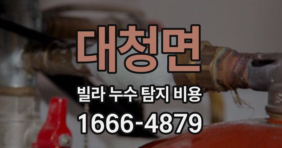 대청면 빌라 누수 탐지 비용