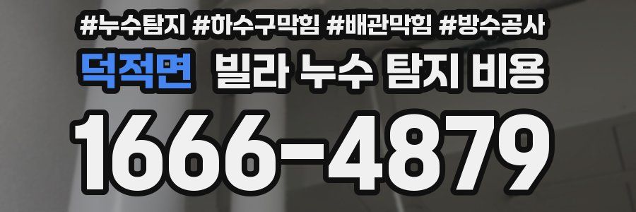 덕적면 빌라 누수 탐지 비용
