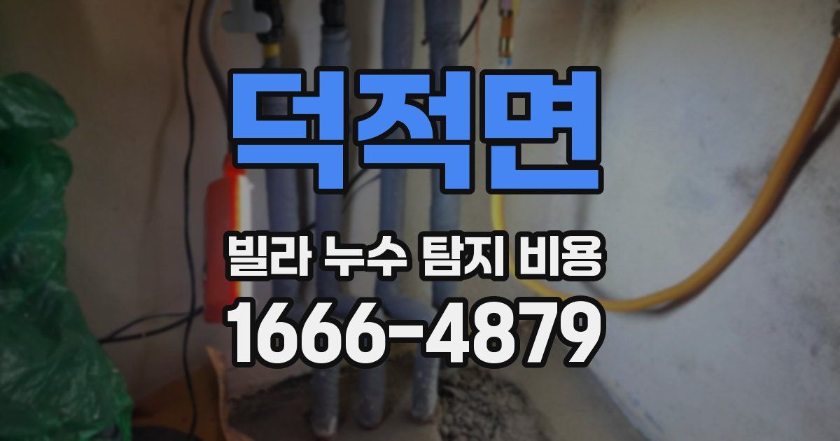 덕적면 빌라 누수 탐지 비용