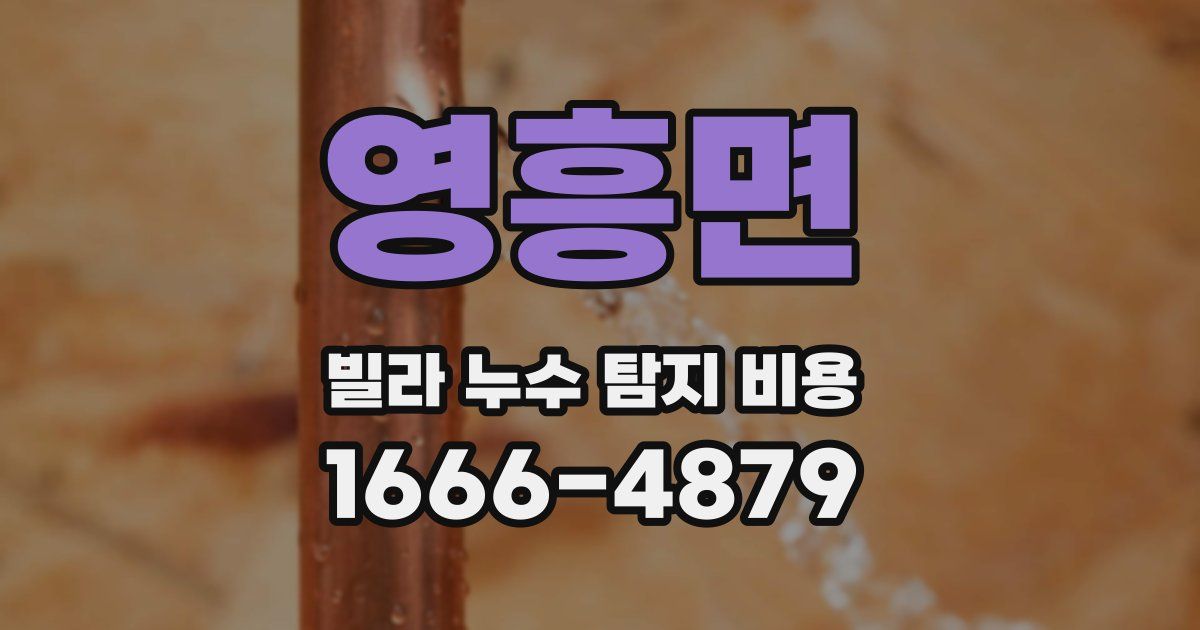 영흥면 빌라 누수 탐지 비용