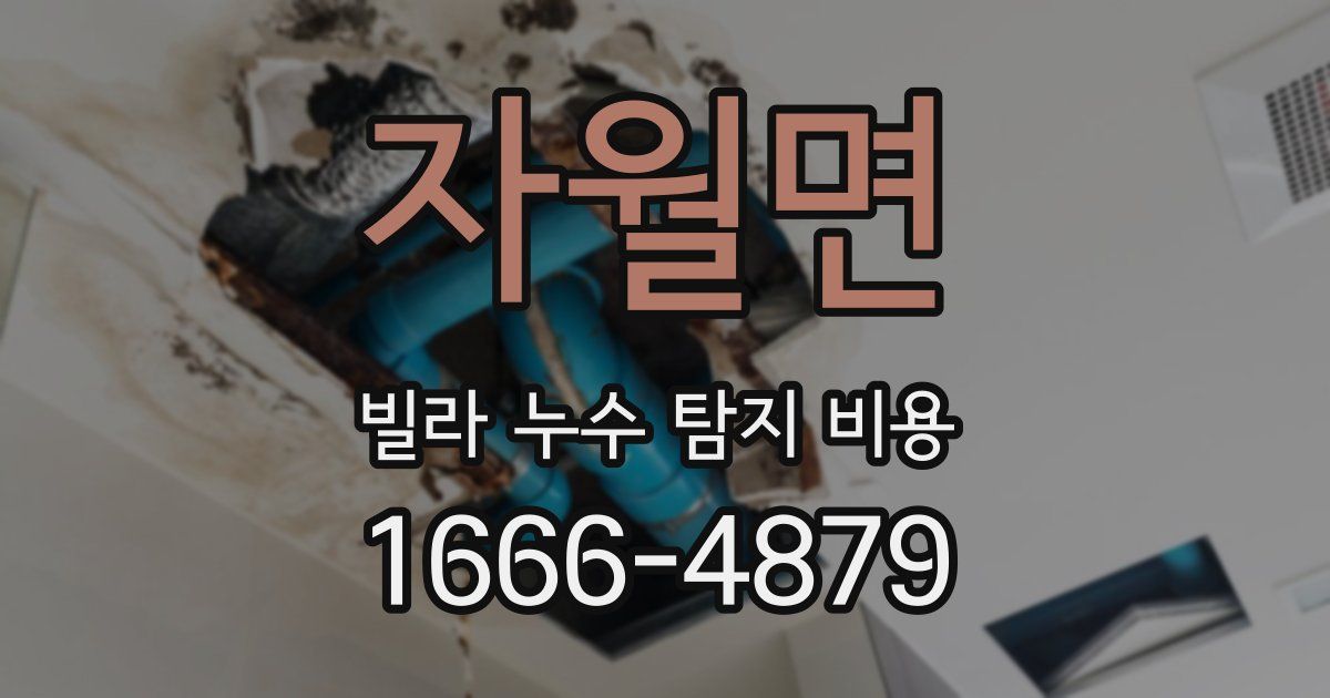 자월면 빌라 누수 탐지 비용