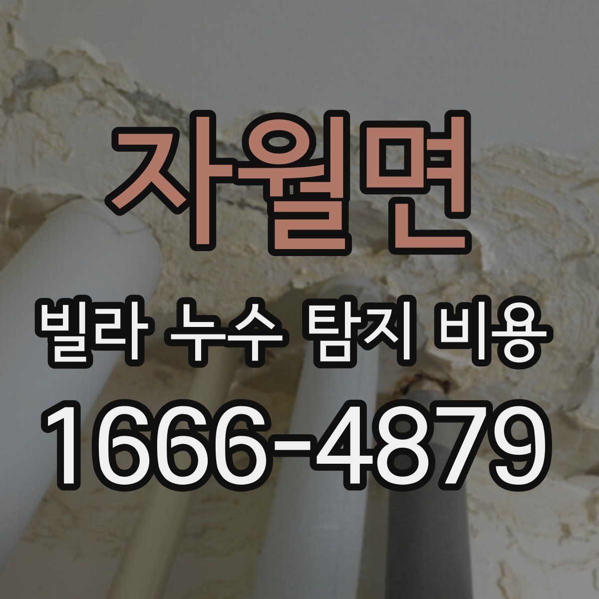 자월면 빌라 누수 탐지 비용
