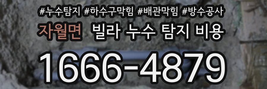 자월면 빌라 누수 탐지 비용