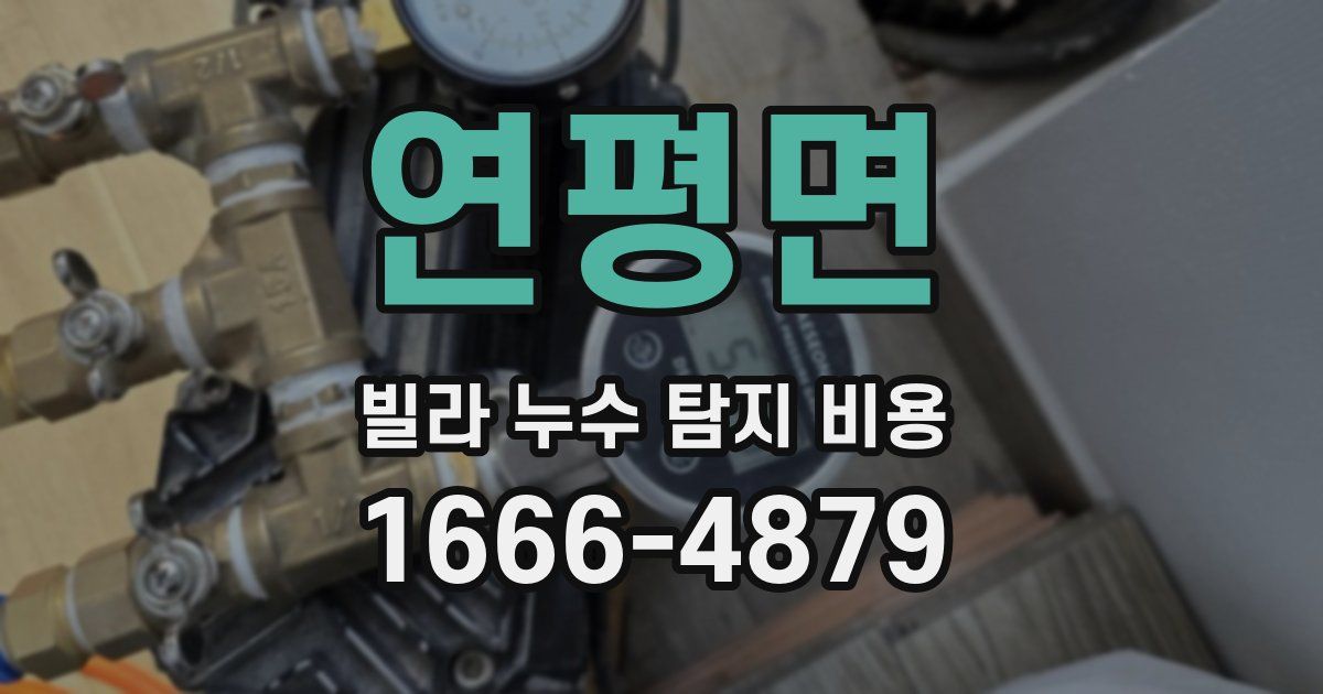 연평면 빌라 누수 탐지 비용