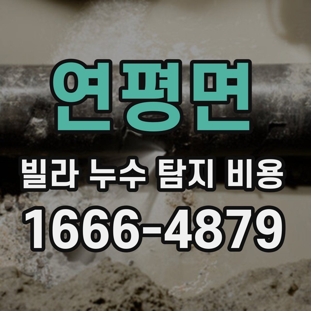 연평면 빌라 누수 탐지 비용