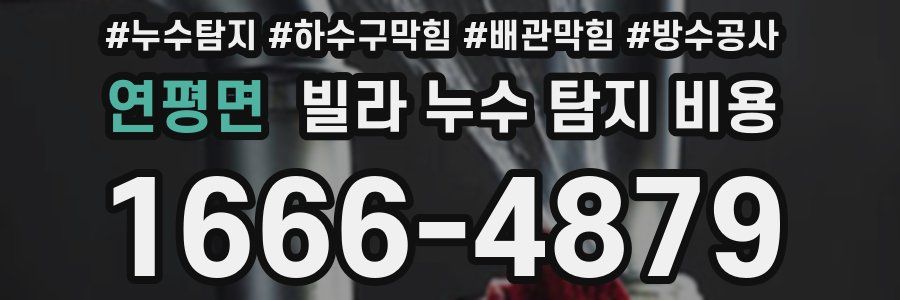 연평면 빌라 누수 탐지 비용