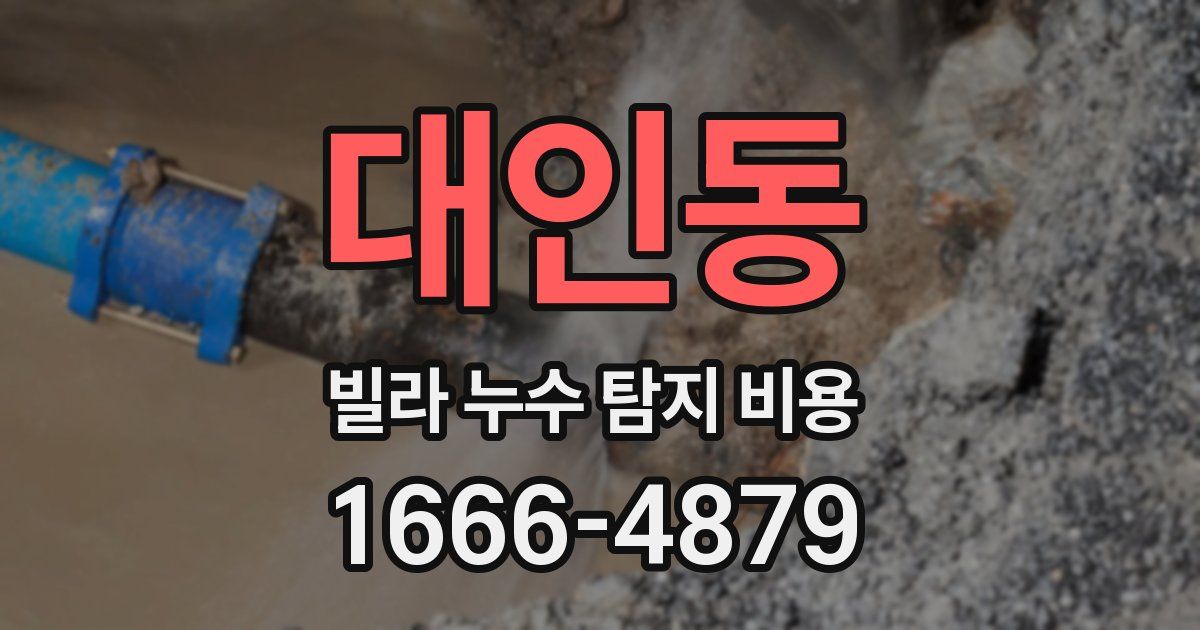 대인동 빌라 누수 탐지 비용