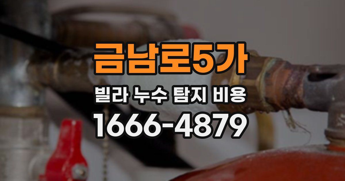 금남로5가 빌라 누수 탐지 비용