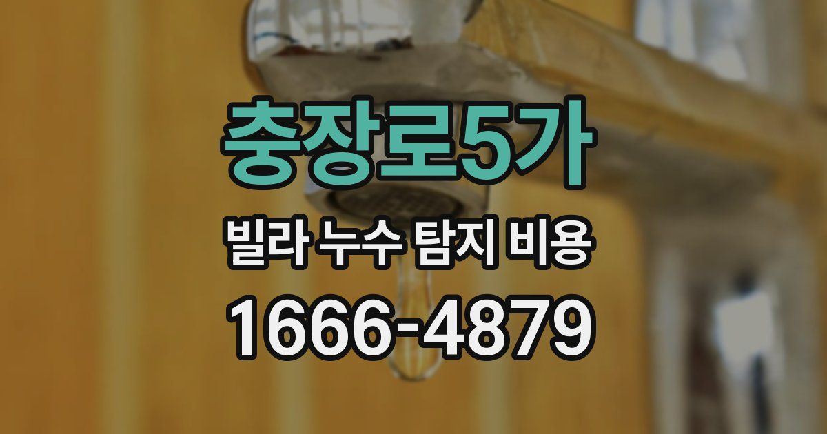 충장로5가 빌라 누수 탐지 비용