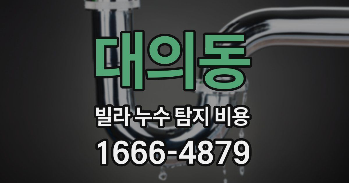대의동 빌라 누수 탐지 비용
