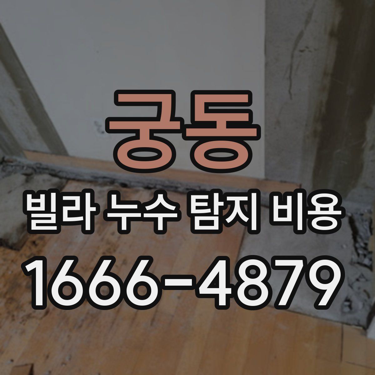 궁동 빌라 누수 탐지 비용
