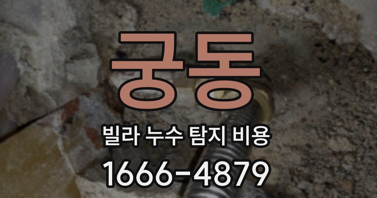 궁동 빌라 누수 탐지 비용