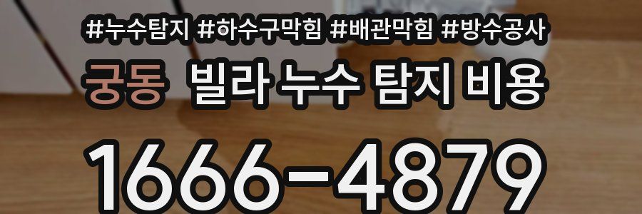 궁동 빌라 누수 탐지 비용