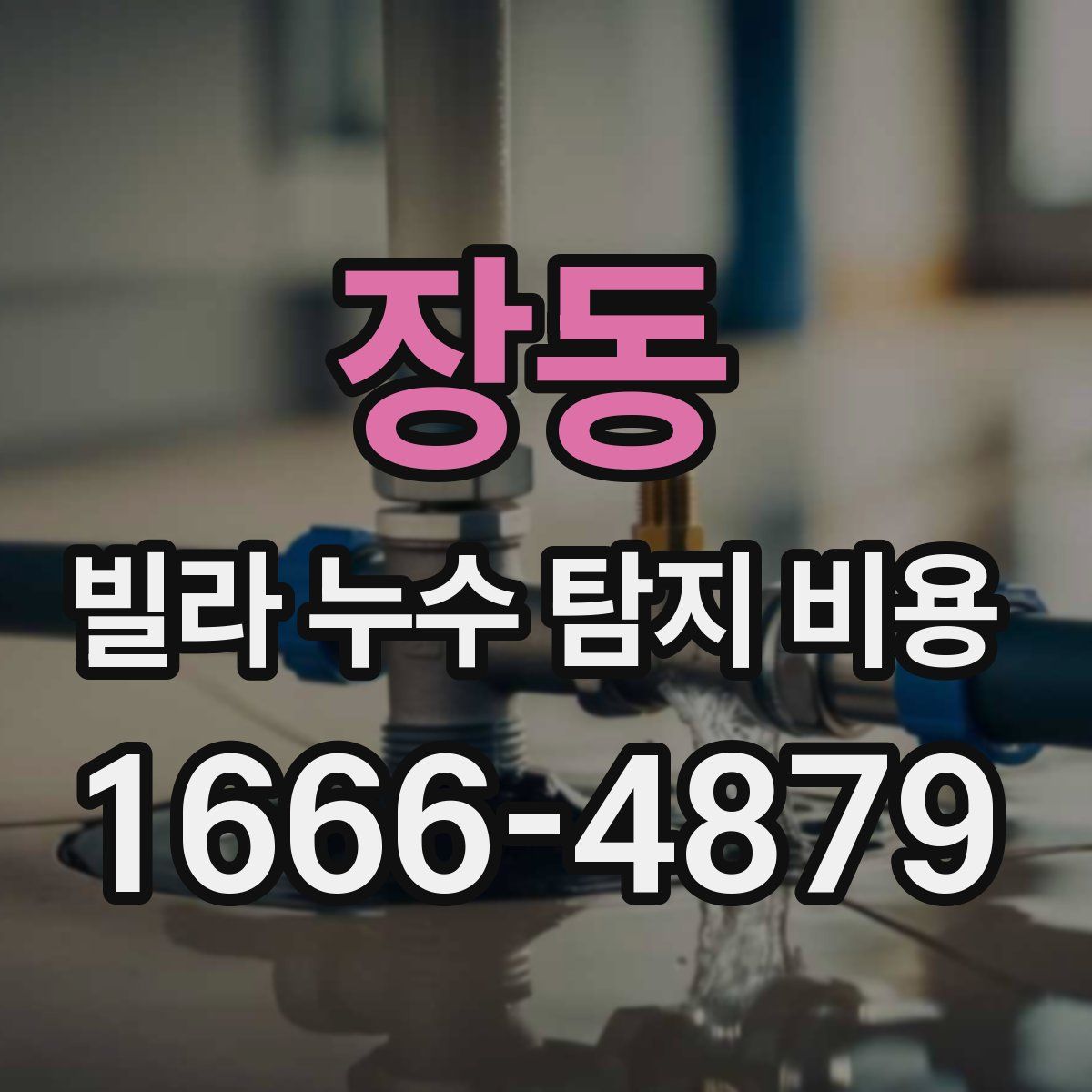 장동 빌라 누수 탐지 비용