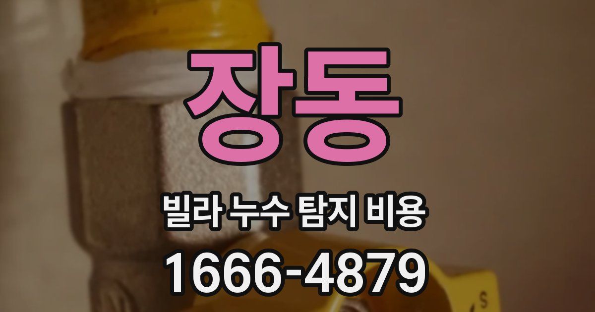 장동 빌라 누수 탐지 비용