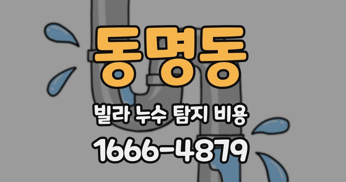 동명동 빌라 누수 탐지 비용
