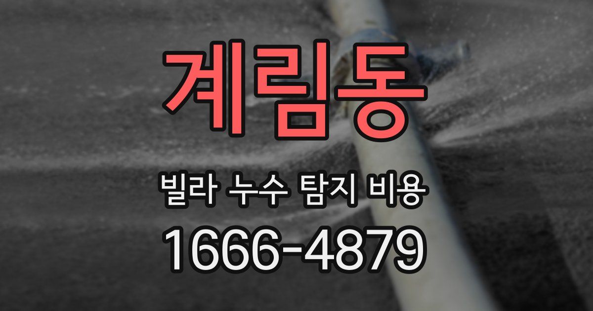 계림동 빌라 누수 탐지 비용