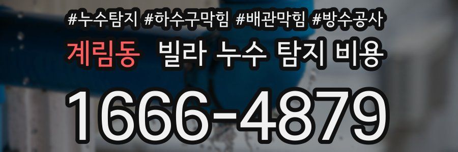 계림동 빌라 누수 탐지 비용