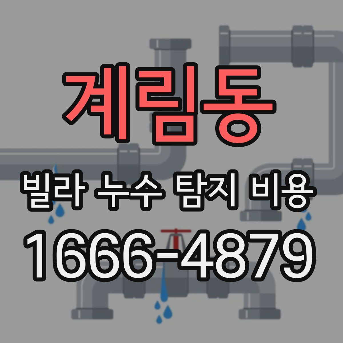 계림동 빌라 누수 탐지 비용