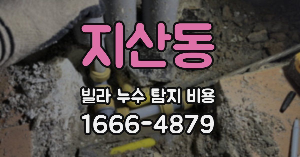 지산동 빌라 누수 탐지 비용