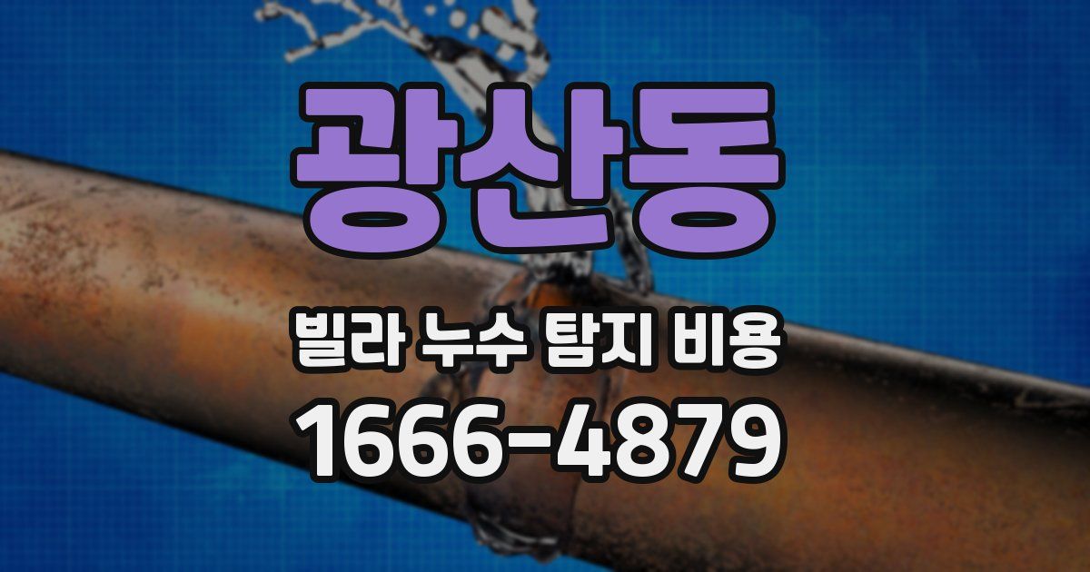 광산동 빌라 누수 탐지 비용