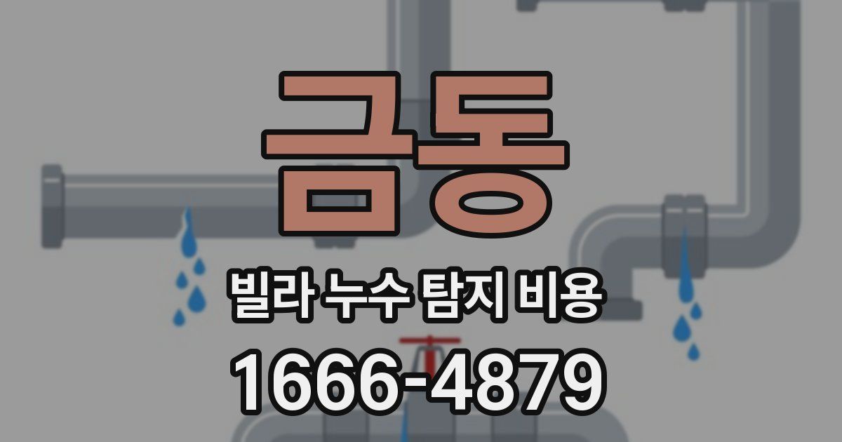 금동 빌라 누수 탐지 비용