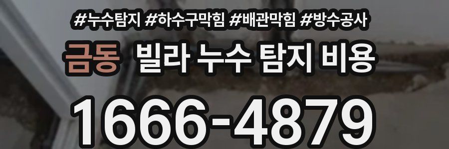 금동 빌라 누수 탐지 비용