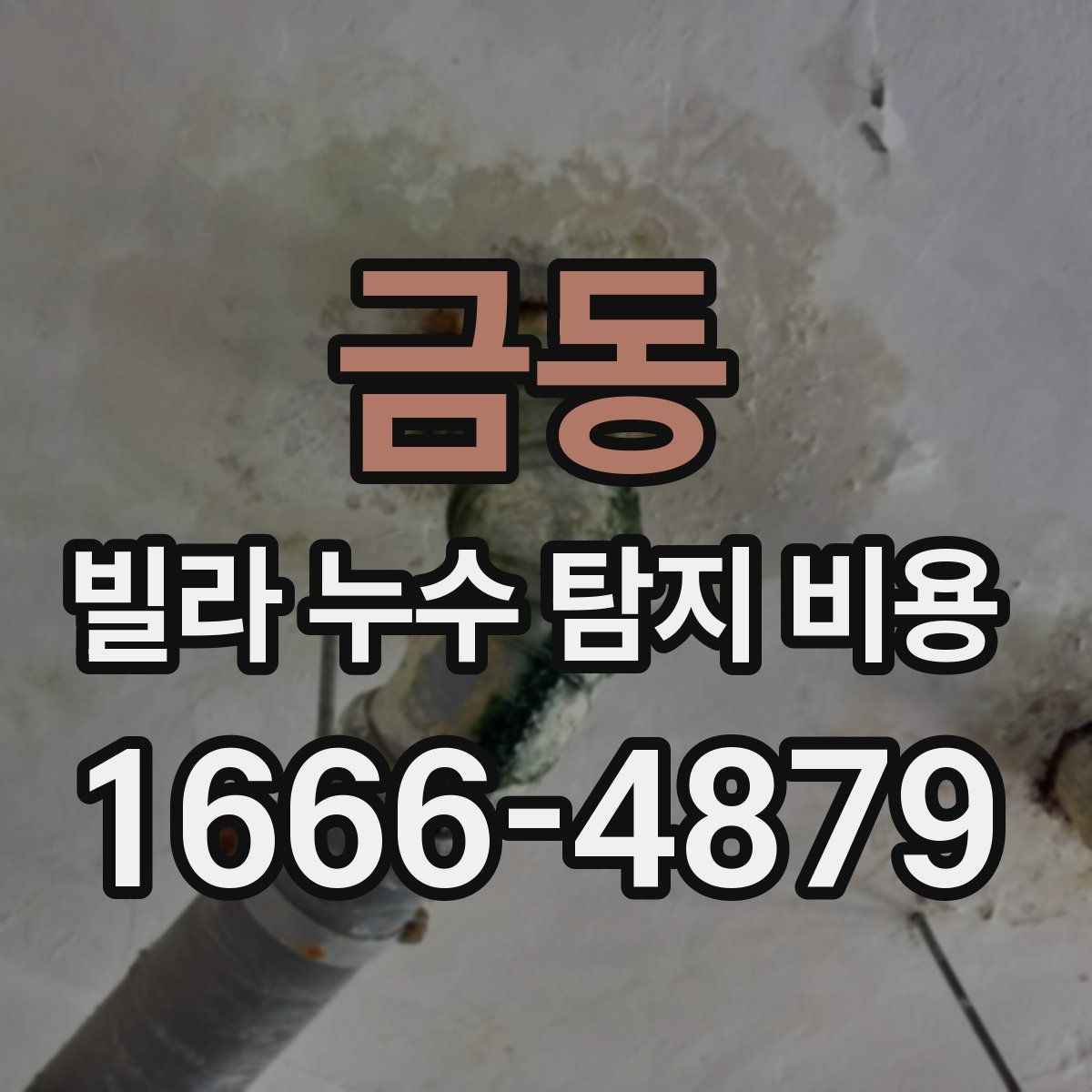 금동 빌라 누수 탐지 비용