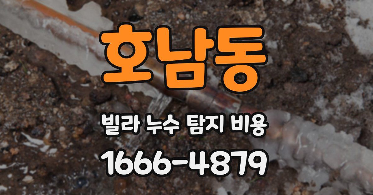 호남동 빌라 누수 탐지 비용