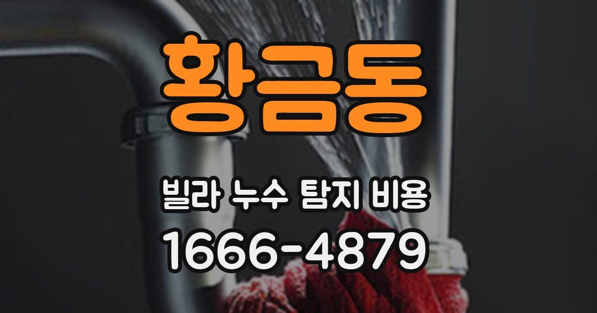 황금동 빌라 누수 탐지 비용