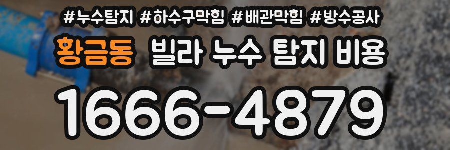 황금동 빌라 누수 탐지 비용