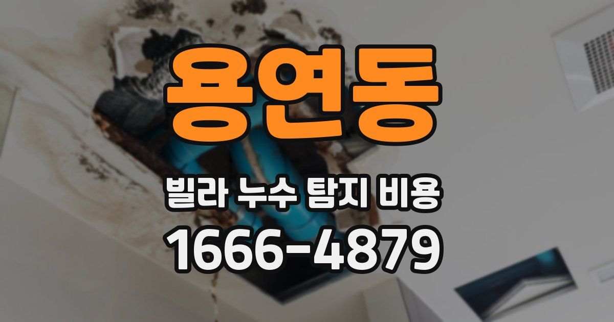 용연동 빌라 누수 탐지 비용