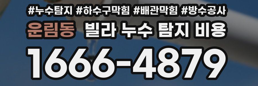 운림동 빌라 누수 탐지 비용