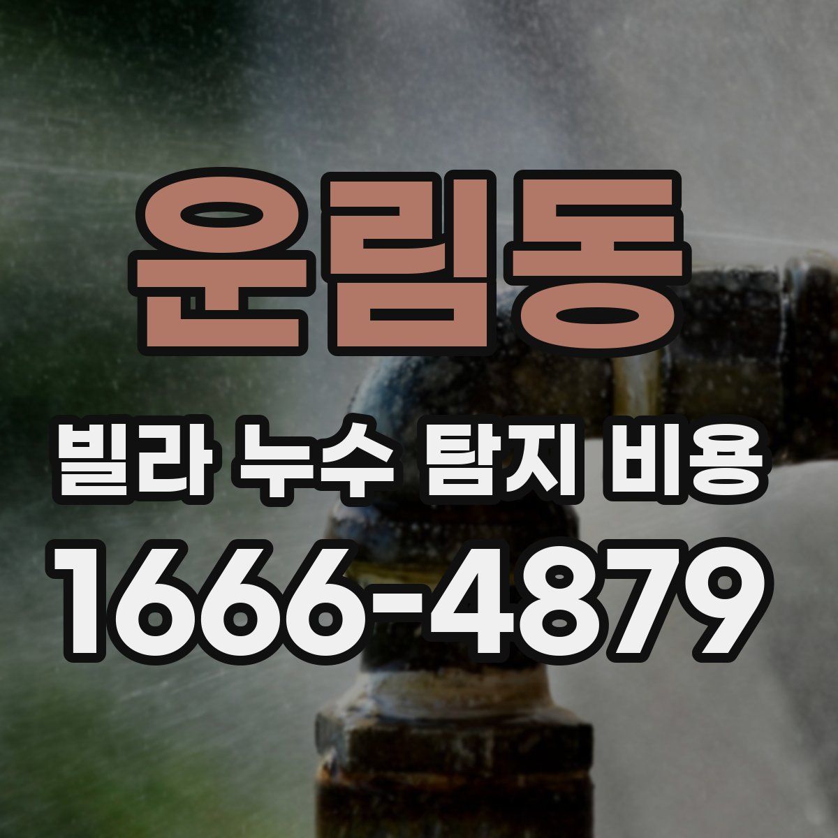 운림동 빌라 누수 탐지 비용