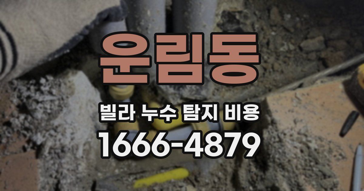 운림동 빌라 누수 탐지 비용