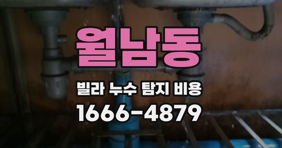 월남동 빌라 누수 탐지 비용