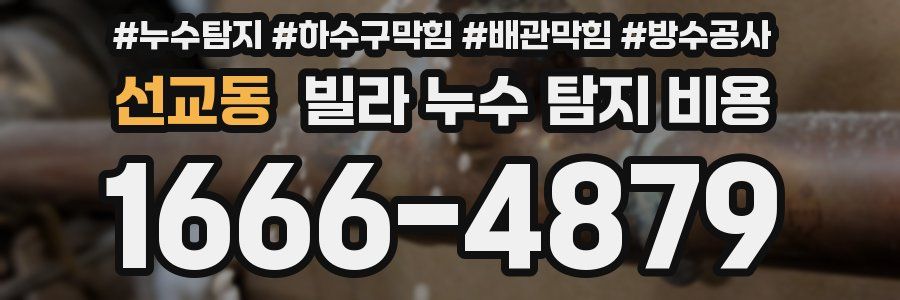 선교동 빌라 누수 탐지 비용