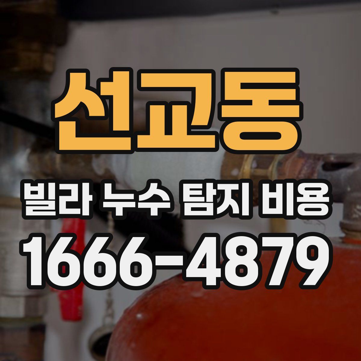 선교동 빌라 누수 탐지 비용