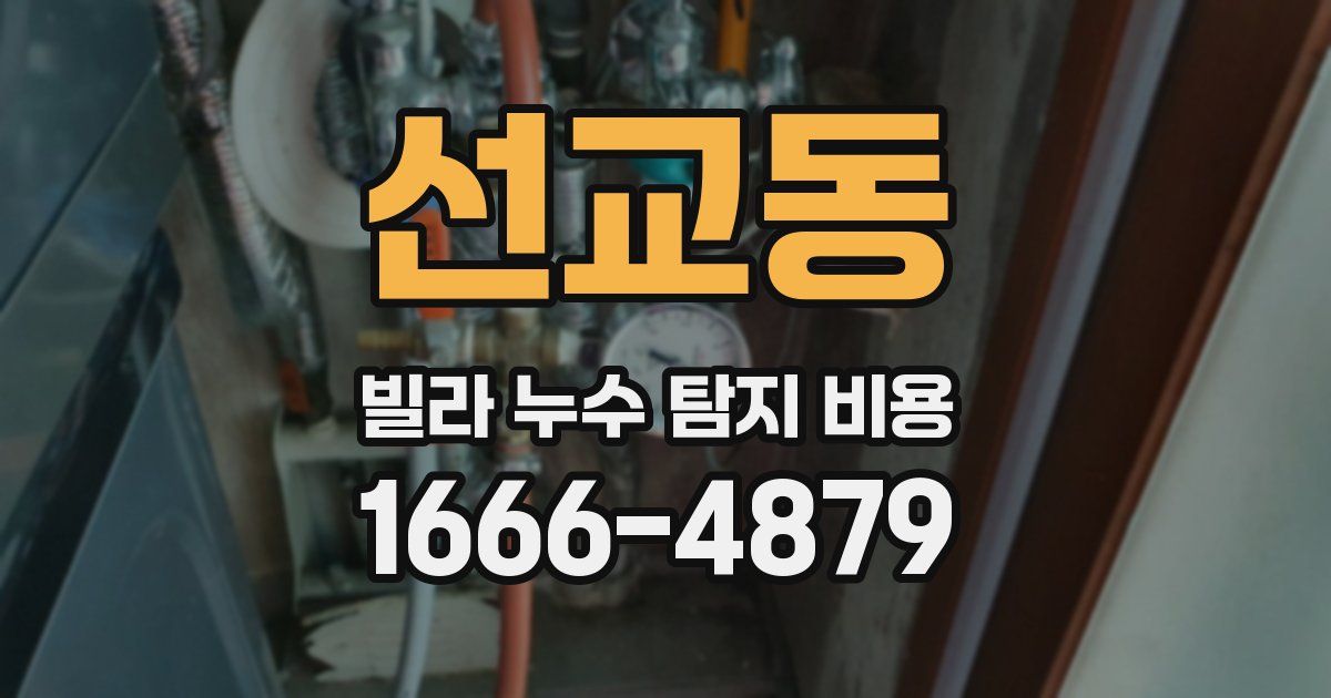 선교동 빌라 누수 탐지 비용