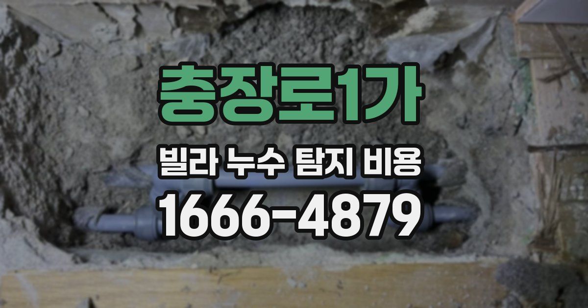 충장로1가 빌라 누수 탐지 비용