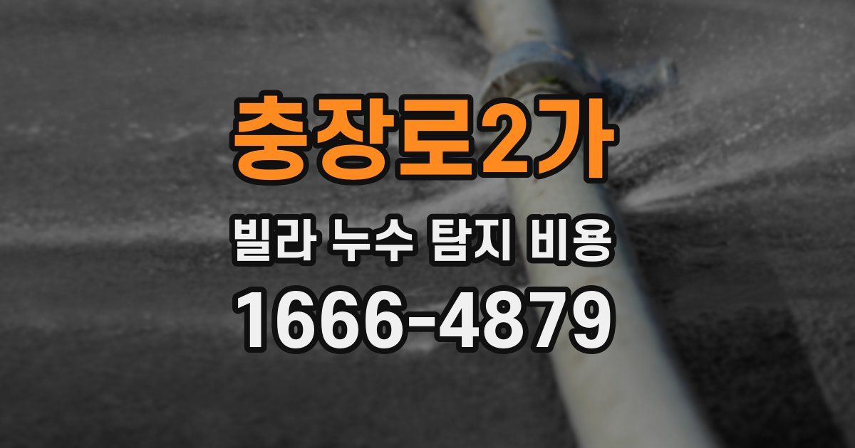 충장로2가 빌라 누수 탐지 비용