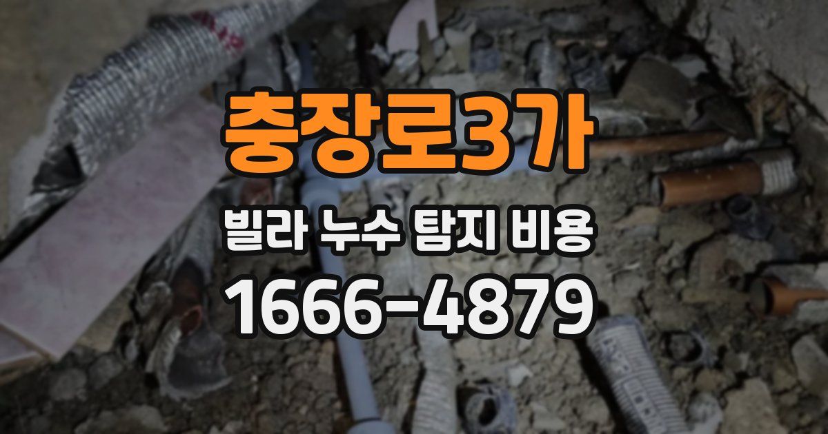충장로3가 빌라 누수 탐지 비용
