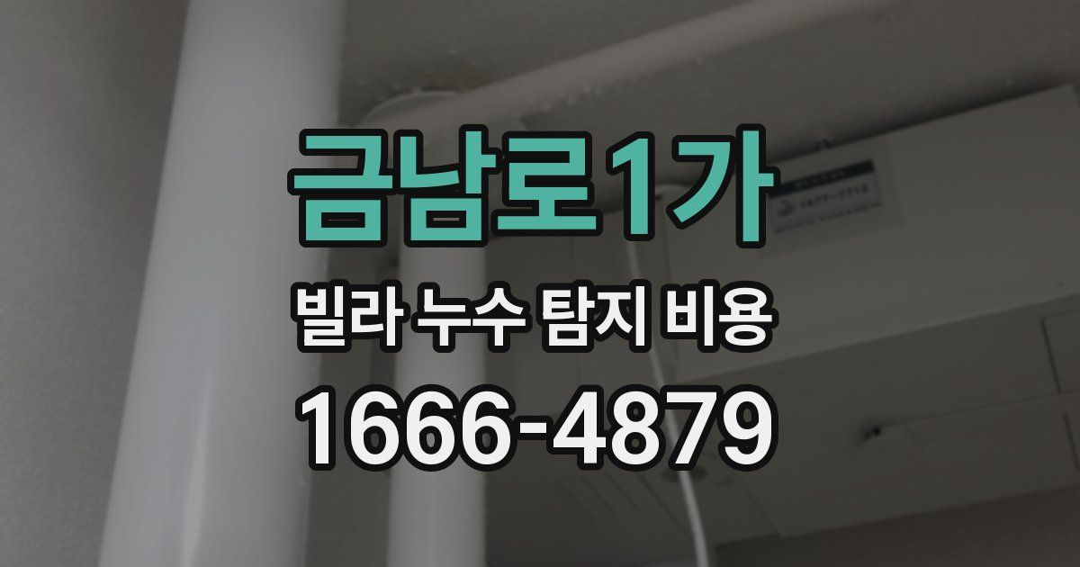 금남로1가 빌라 누수 탐지 비용