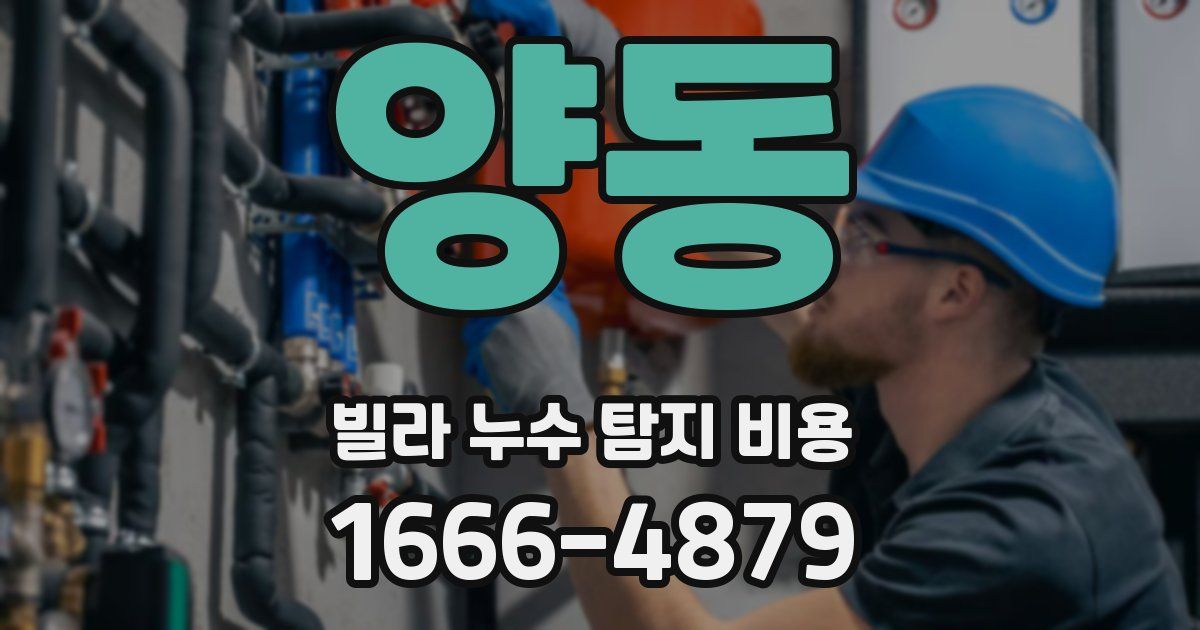 양동 빌라 누수 탐지 비용