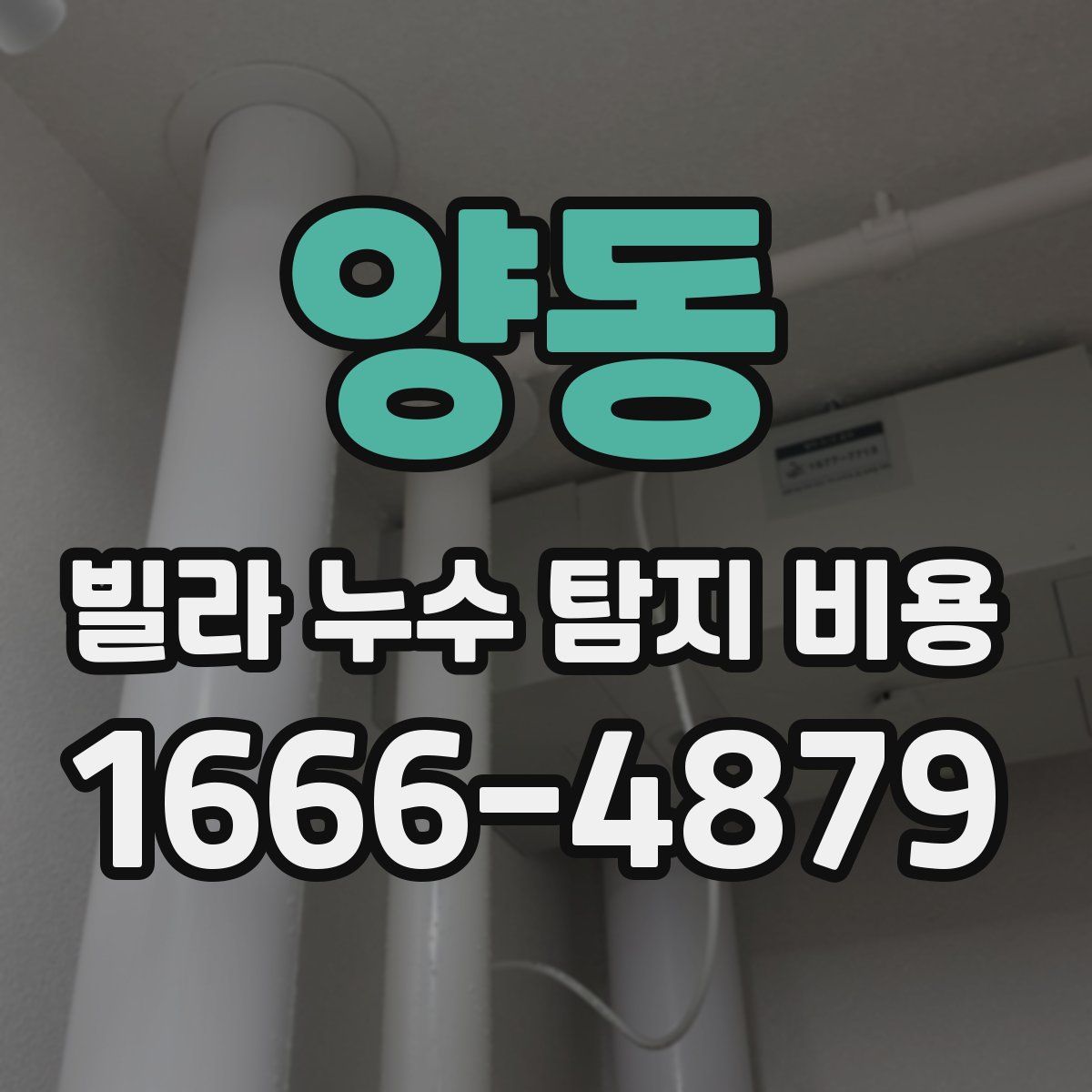 양동 빌라 누수 탐지 비용