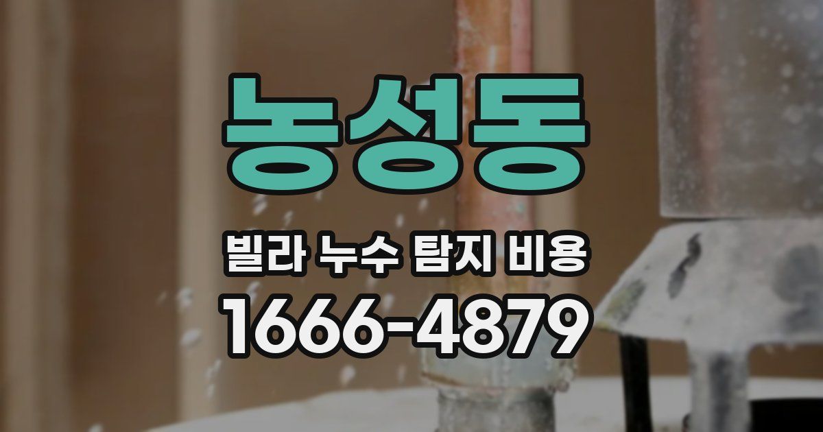 농성동 빌라 누수 탐지 비용